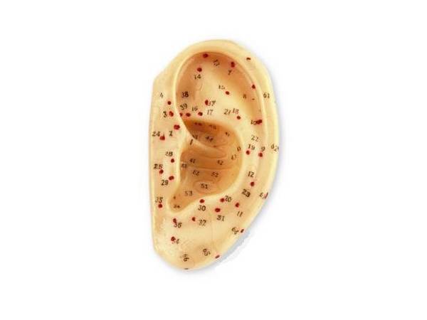 Oreja caucho