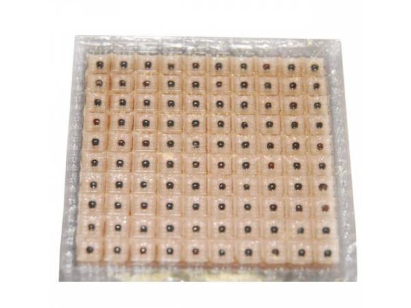 [1249] Semillas Herbales Con Adhesivo Cuadradas (300U.)